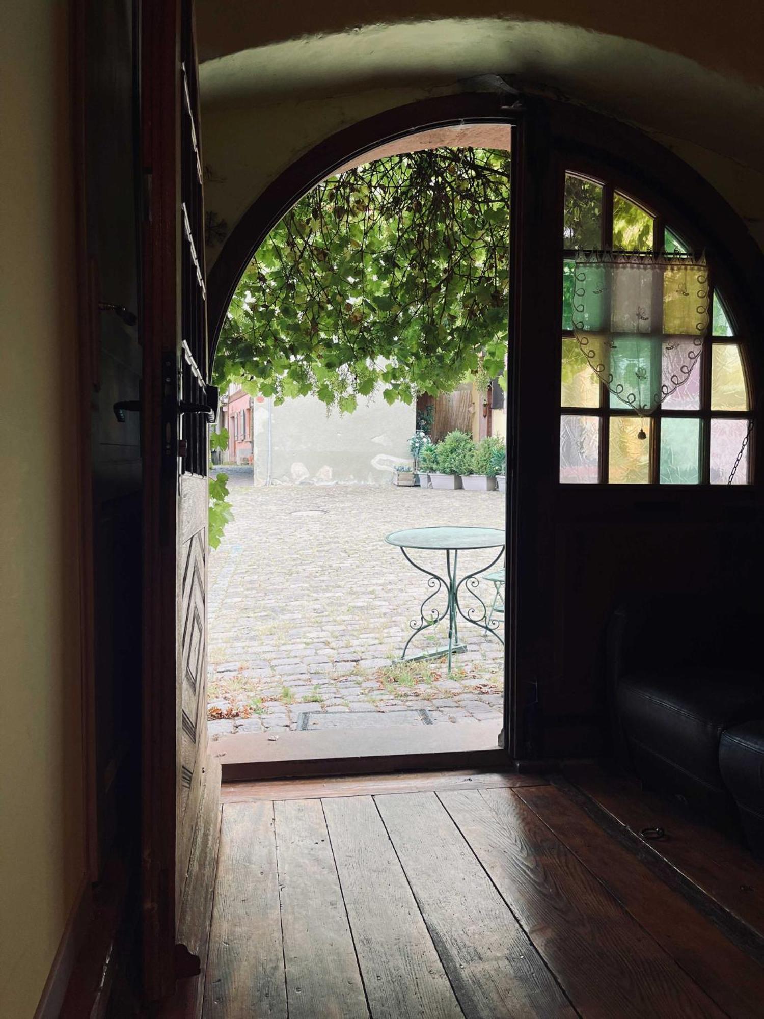 Gite Maison Des Vignerons Рикевир Экстерьер фото